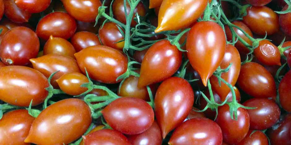 Tomates du Vesuve